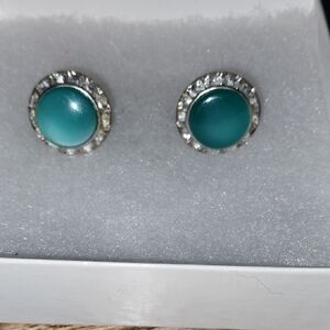 Elegant Silver Teal Lucite Screw Back With Rhinestones Earrings